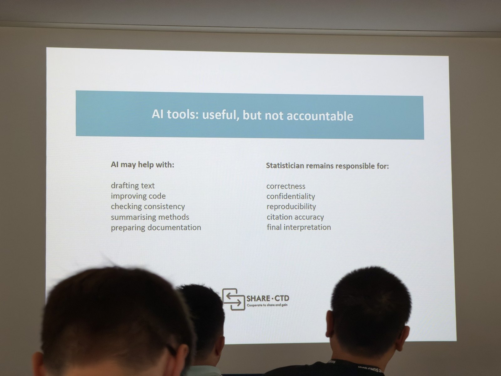 Slide contrasting AI assistance with the statistician's responsibility for correctness, confidentiality, reproducibility, citation accuracy, and interpretation.